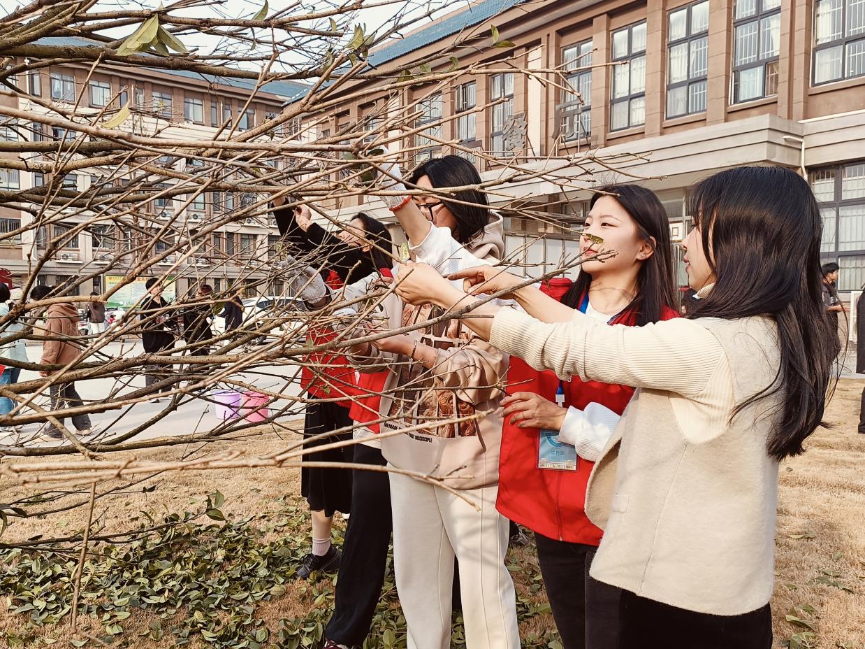 图示, 示意图

中度可信度描述已自动生成:ver1