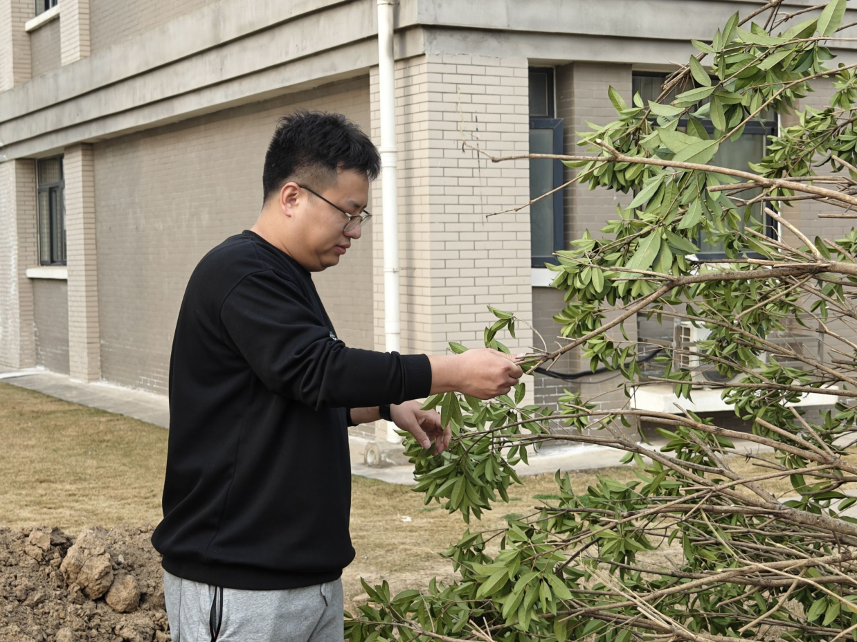 图示, 示意图

中度可信度描述已自动生成:ver1