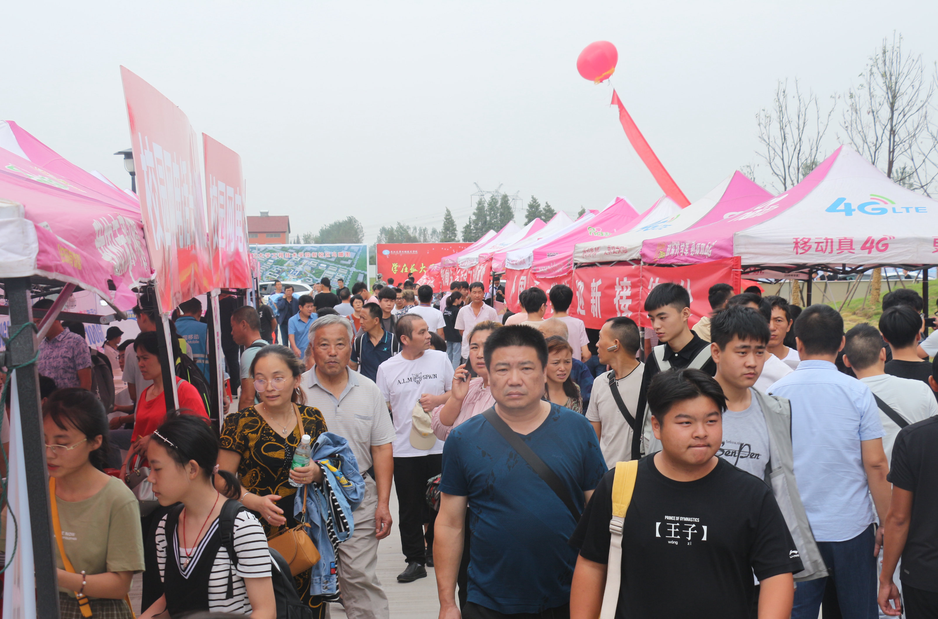 IMG_0674.JPG IMG_0674.JPG