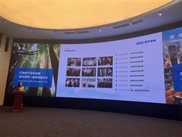 0aaf808482be8c8fe197ab2cca73b2b