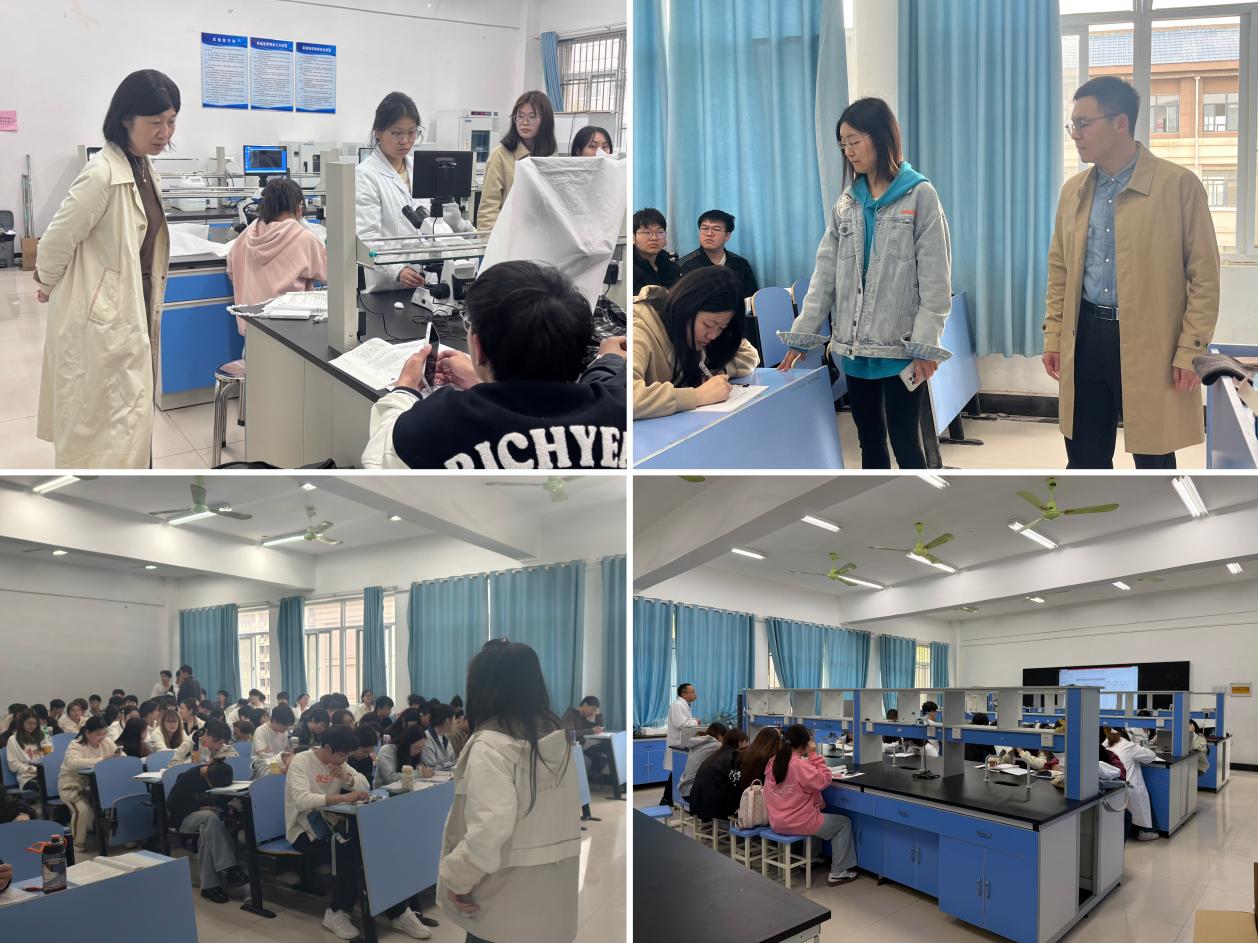 c62de29058c411d6b533e26a37013228