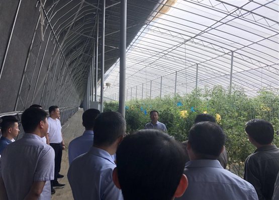 微信图片_20240528152504